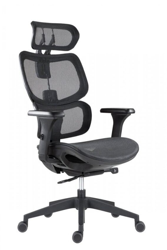 Kancelářská ergonomická židle ETONNANT — síť